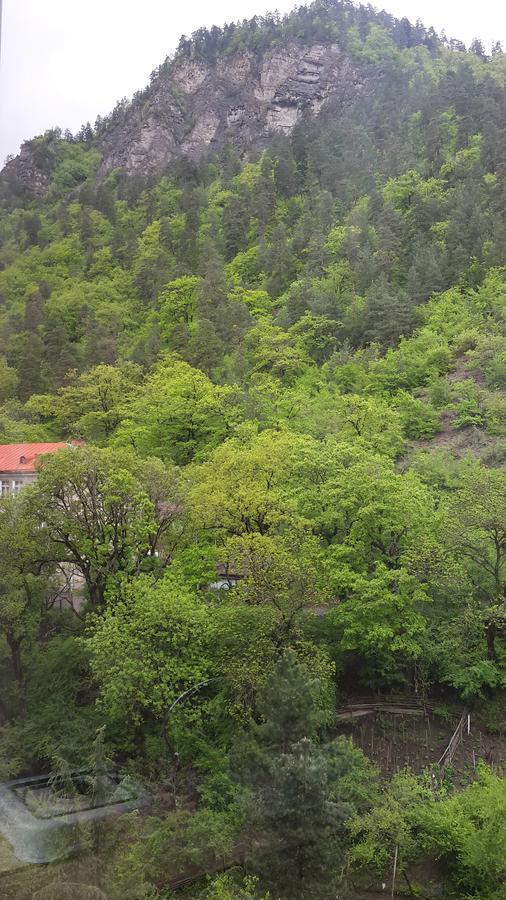 Mariko Hotel Borjomi Luaran gambar